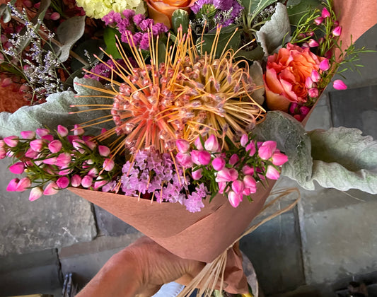 Furry-Friend-Friendly