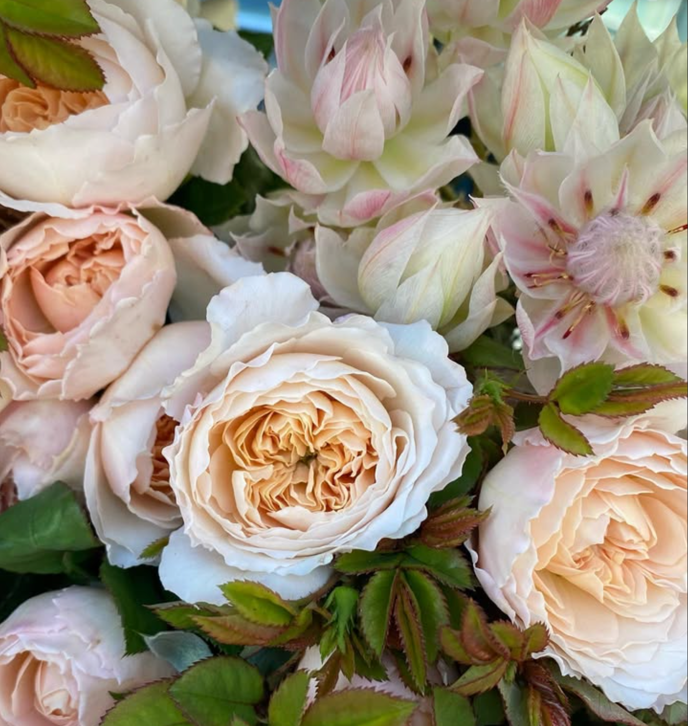 Urn Arrangement