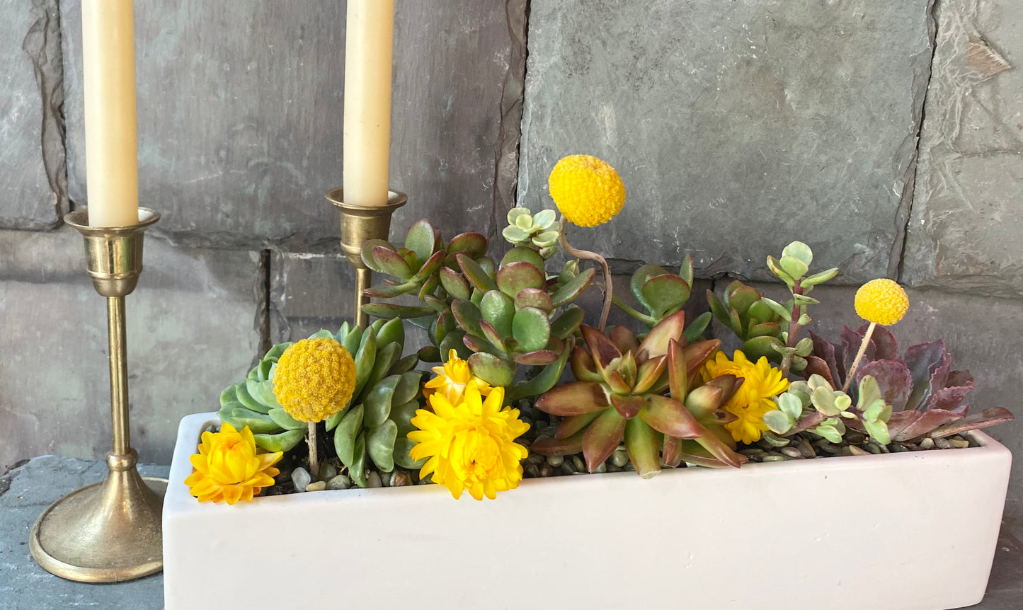 Succulent Planters