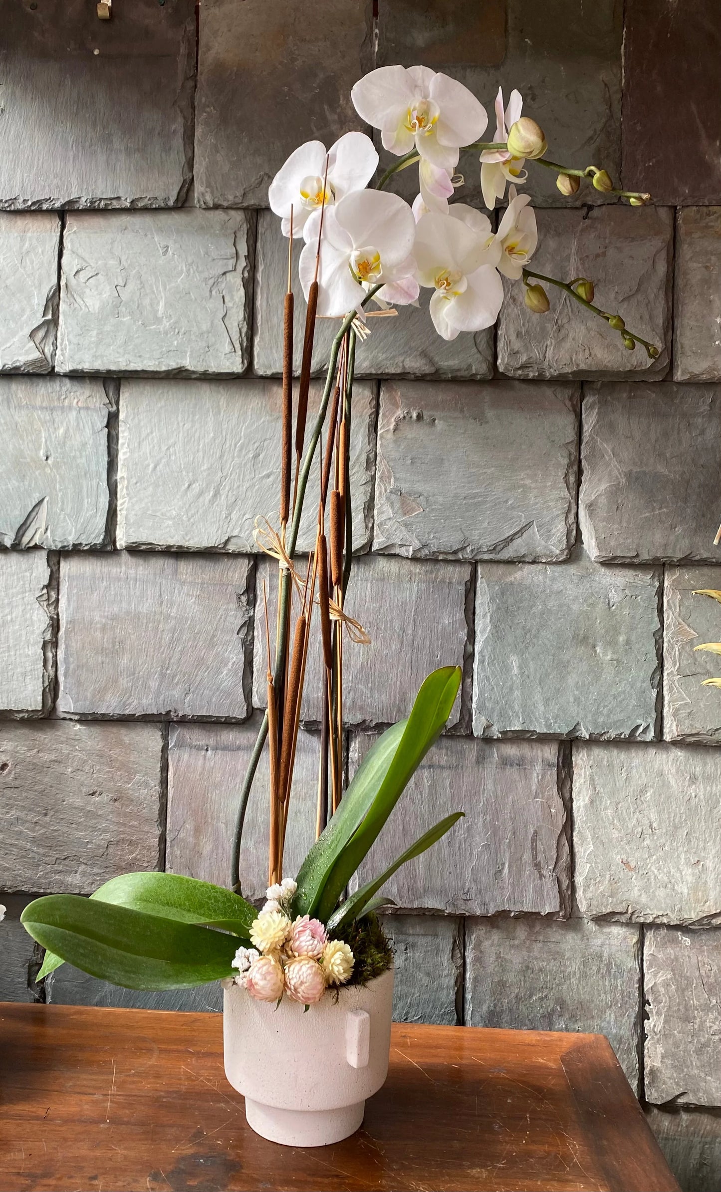 Orchid Planter
