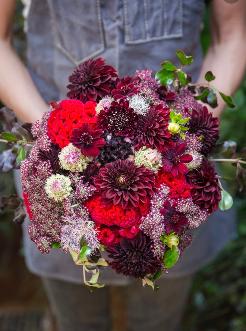 Hand-Tied Collection
