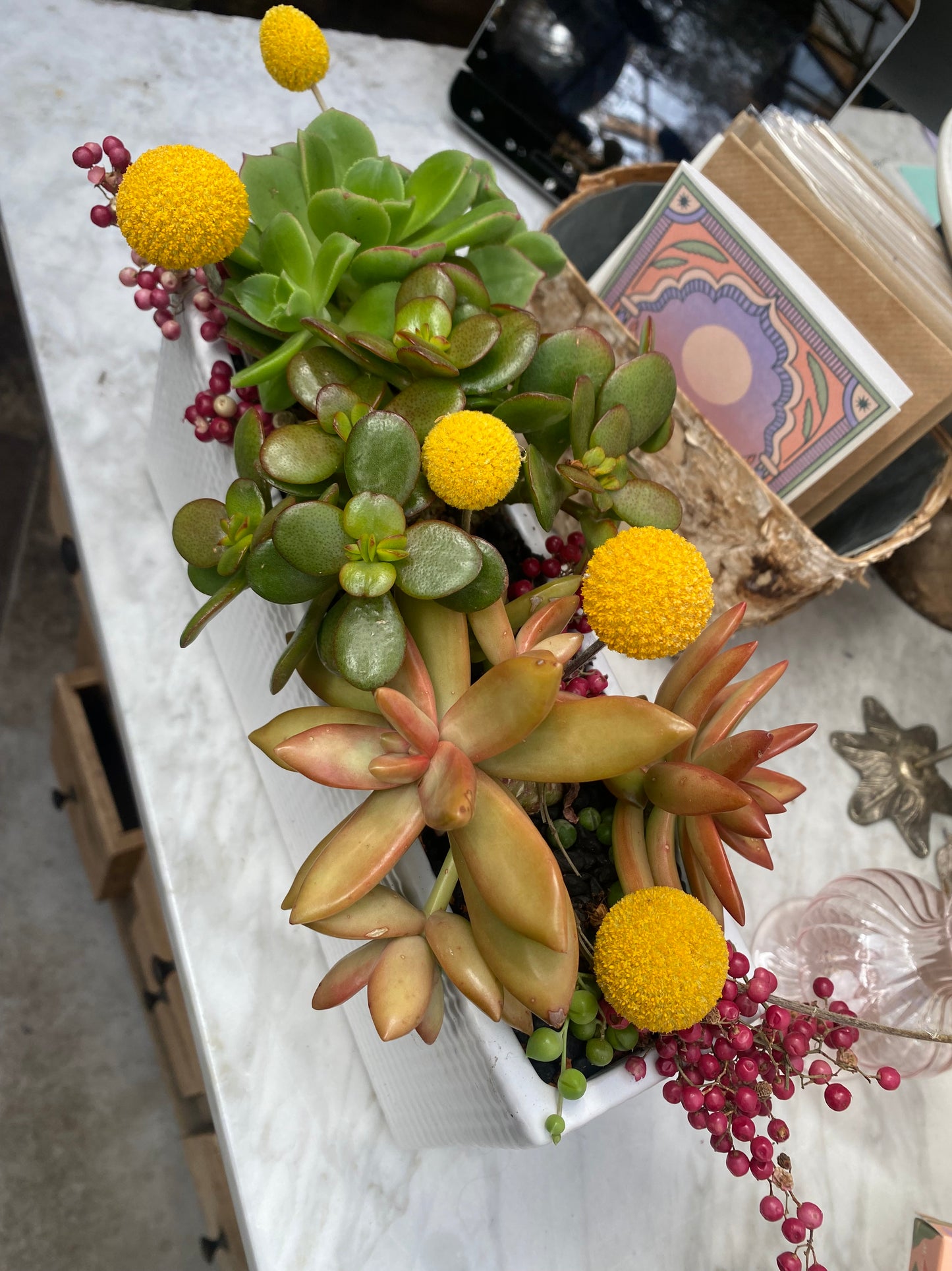 Succulent Planters